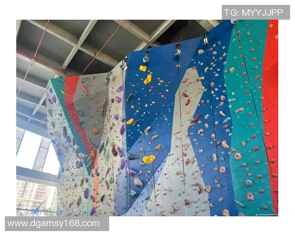 攀岩巨献:探秘南京攀岩队的配合 攀岩巨献:探秘南京攀岩队的配合